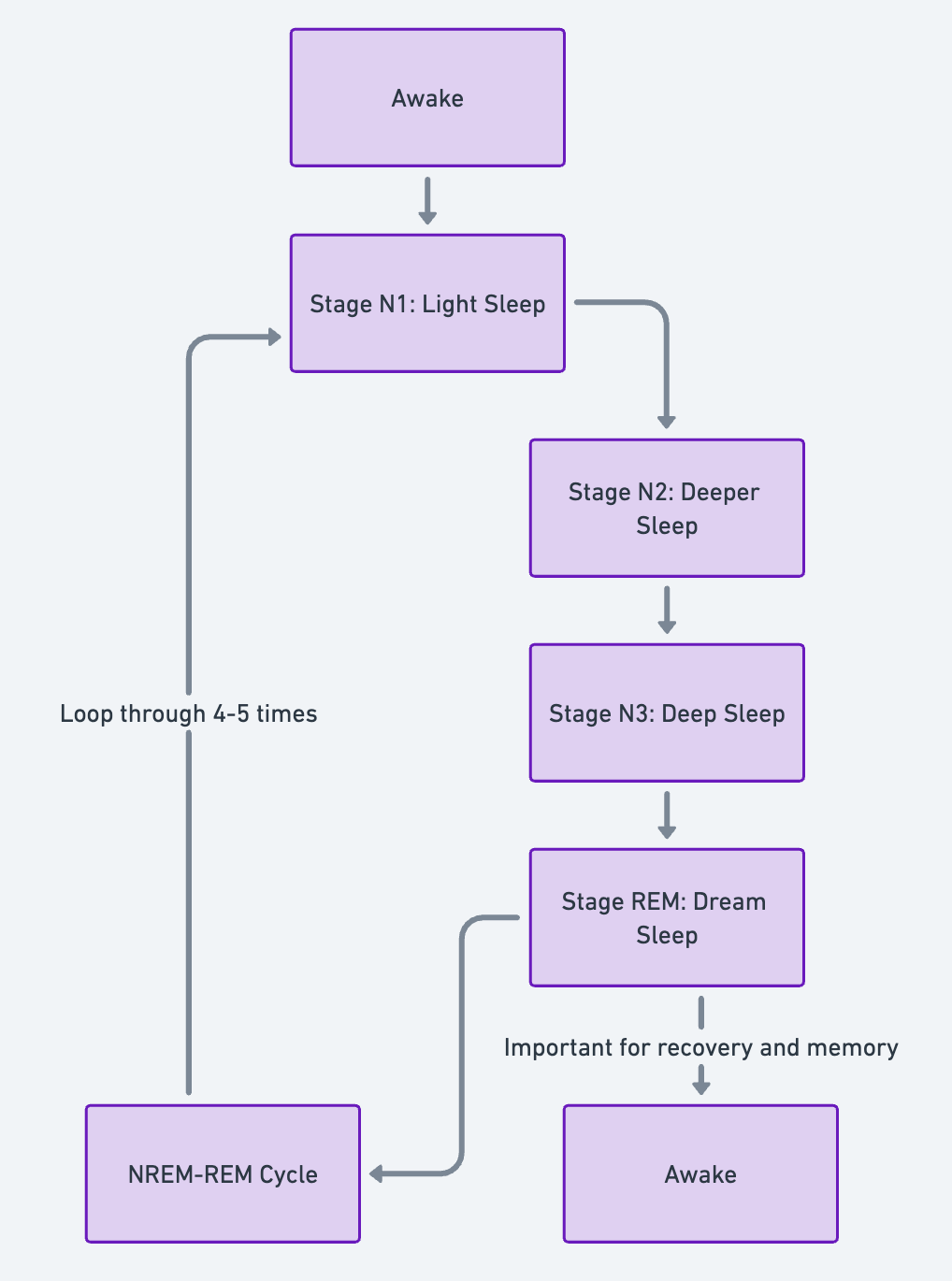 How to Sleep Well for Optimal Nervous System Regulation — Rē
